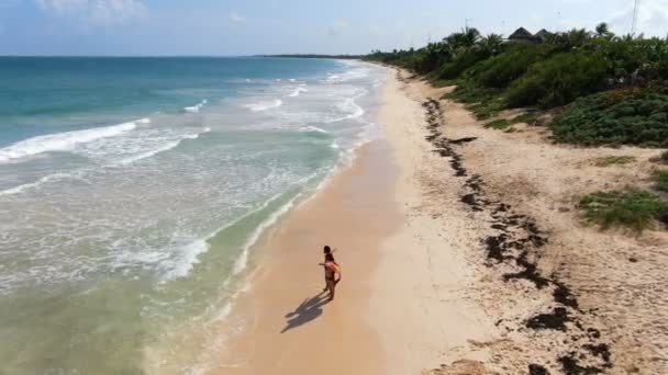 Pareja Luna Miel Playa Tulum Rivera Maya Vista Aerea Mar — Vídeo de stock