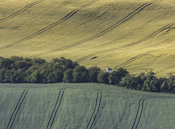 Wavy Fields South Moravian Moravia South Moravia Czech Republic — Stock Photo, Image