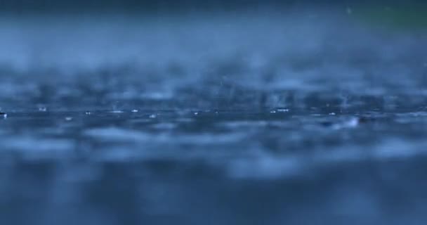 Капли дождя падают в лужу на бетонной улице — стоковое видео