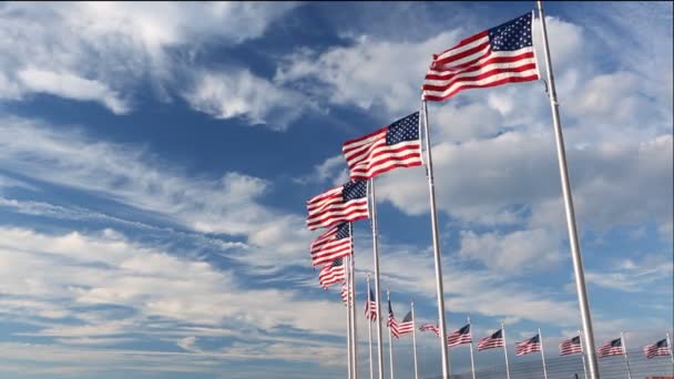 Banderas junto al Monumento a Washington — Vídeos de Stock