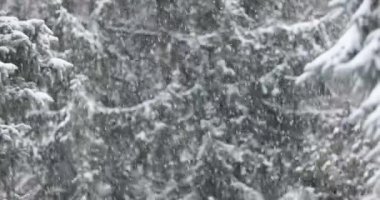 Kar kar fırtınası sırasında yağar