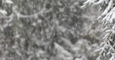 Kar kar fırtınası sırasında yağar