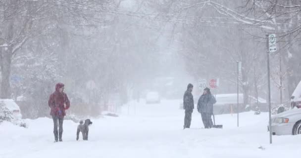 Cold blizzard in a residential area — Stock Video