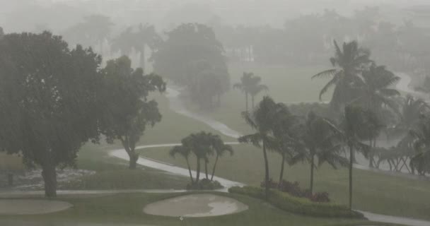 Lluvia cae en un campo de golf — Vídeos de Stock