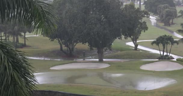 Lluvia cae en un campo de golf — Vídeos de Stock