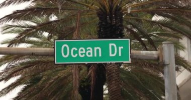 Miami 'de Ocean Drive Palmiye ağaçlarıyla