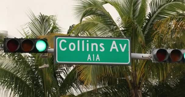 Collins Avenue di Miami oleh pohon palem — Stok Video