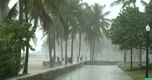 La gente si affretta ad uscire da una tempesta tropicale — Video Stock