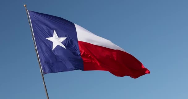 Texaanse vlag — Stockvideo