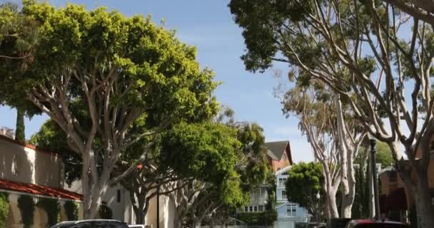 Downtown street em Laguna Beach Califórnia EUA — Vídeo de Stock