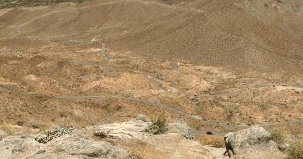 Monumento Nacional das Montanhas Santa Rosa e San Jacinto — Vídeo de Stock