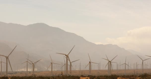 Вітряна ферма в Палм-Спрінгс, Каліфорнія, США — стокове відео