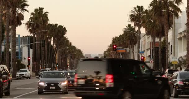 Santa Monica Usa Május 2017 Emberek Sétálnak Bárok Éttermek Egy — Stock videók