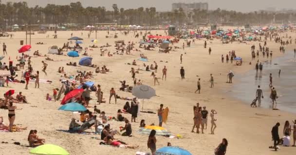 Praia de Santa Monica Califórnia EUA — Vídeo de Stock