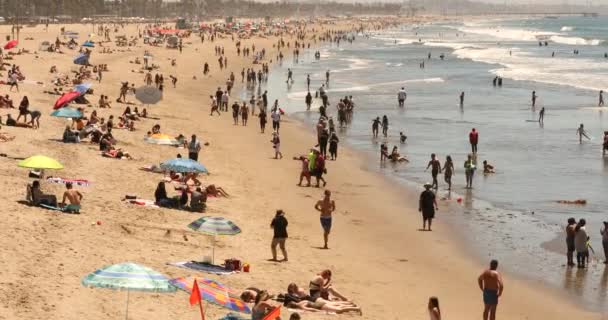 Santa Monica beach California USA — Stock Video