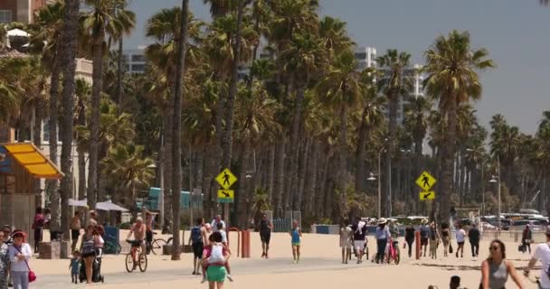 Spiaggia di Santa Monica California — Video Stock