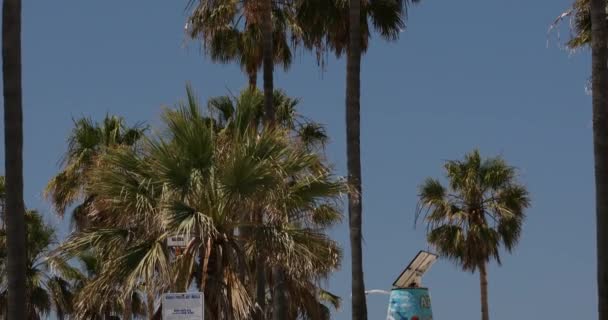 Venice Beach, Los Angeles, Kalifornien USA — Stockvideo