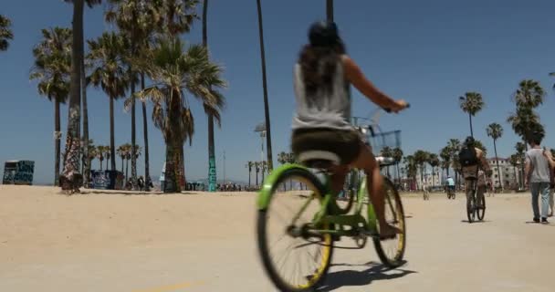 Venice Beach, Los Angeles, Kalifornia Stany Zjednoczone Ameryki — Wideo stockowe