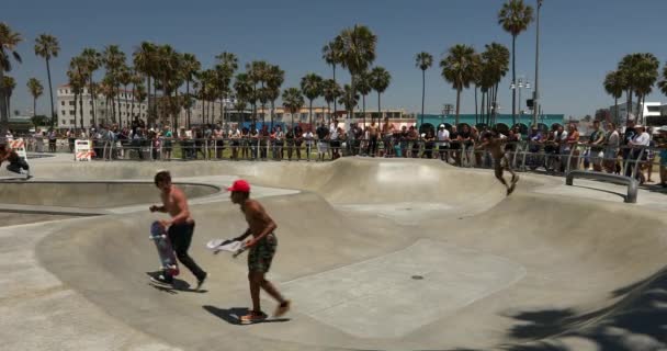Parque de skate Venice Beach, Los Ángeles, California, EE.UU. — Vídeo de stock