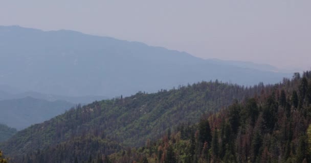 Kaliforniya 'daki Sierra Nevada Dağları' nda sis — Stok video