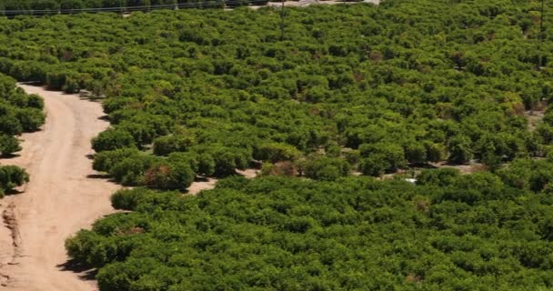 Fazenda pomar e fazenda na Califórnia EUA — Vídeo de Stock