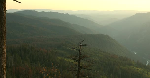 Kaliforniya 'daki Sierra Nevada Dağları' nda sis — Stok video