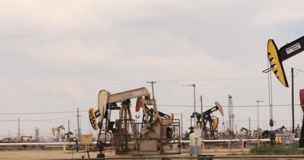 Pumpjack wydobywa olej ze studni w Kalifornii — Wideo stockowe