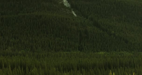 Vistas a la montaña desde Sulphur Mountain Banff Alberta Canadá — Vídeos de Stock