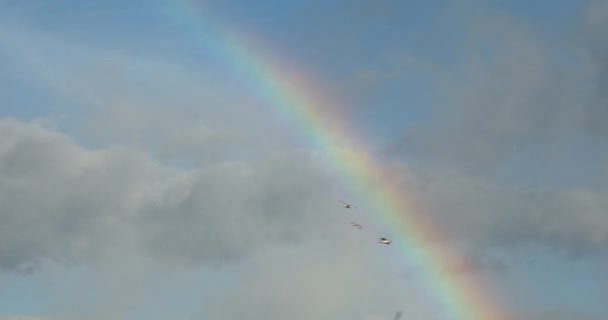 夏日的彩虹 — 图库视频影像