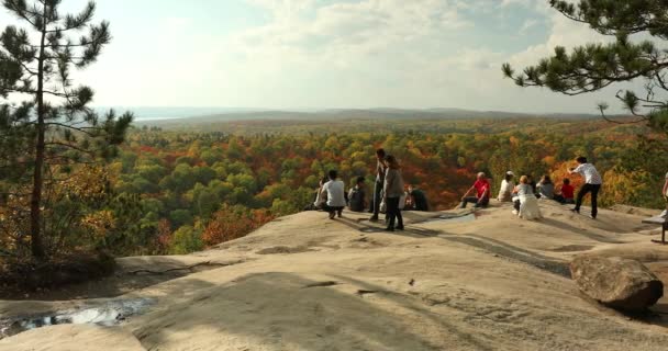 Turistas olham para as árvores do outono em outubro — Vídeo de Stock