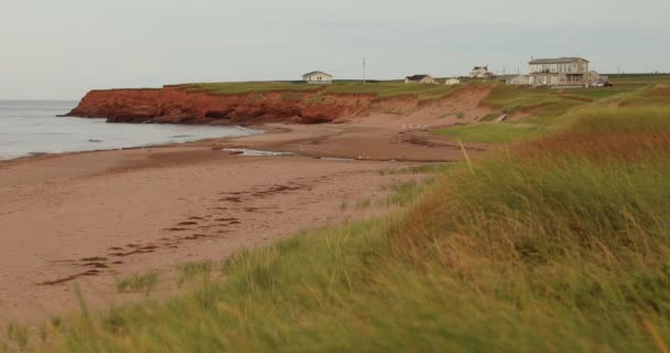 Пляж Далвей на атлантическом побережье Канады — стоковое видео