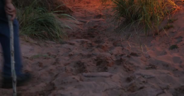 Corda de luzes em um caminho de praia duna de areia — Vídeo de Stock