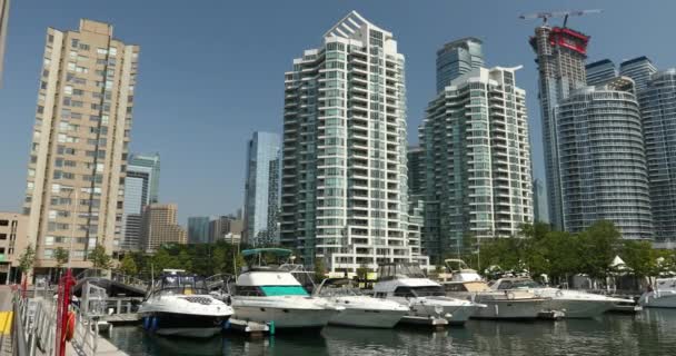 Centro ciudad vista de Toronto Ontario Canadá — Vídeos de Stock