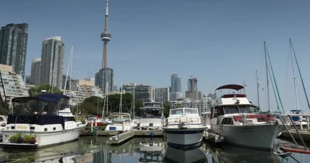 トロントのダウンタウンの街の景色オンタリオカナダ — ストック動画