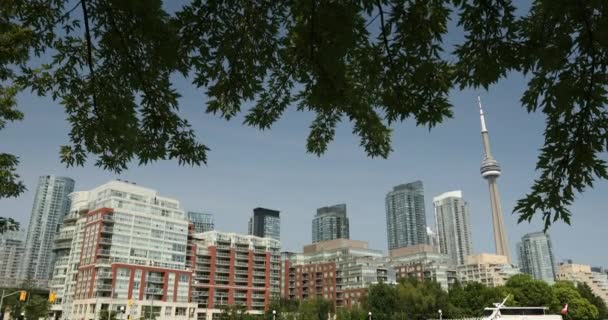 Centro ciudad vista de Toronto Ontario Canadá — Vídeos de Stock