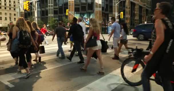 Menschenmenge läuft durch die Innenstadt von Toronto Ontario Kanada — Stockvideo