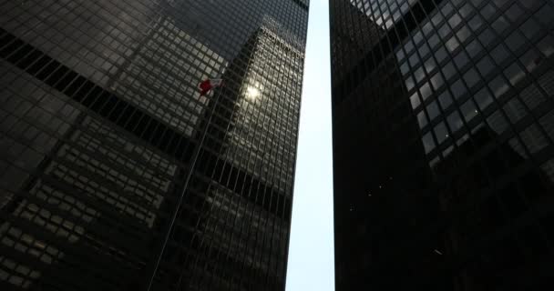 Ουρανοξύστες επιχειρήσεων γυαλιού — Αρχείο Βίντεο