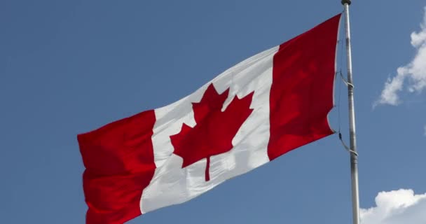 Canada esdoorn blad vlag op een vlaggenmast — Stockvideo