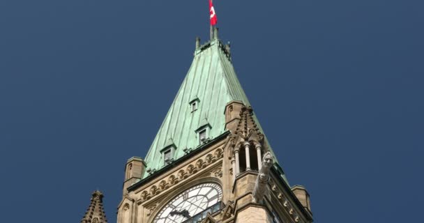 Parlamentsbyggnaden i Kanada i Ottawa Ontario — Stockvideo