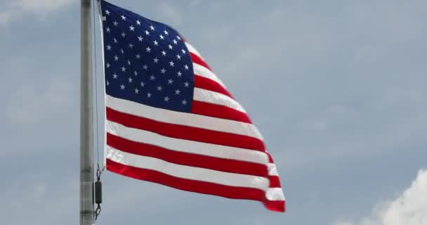 Drapeaux américains soufflent dans le vent — Video