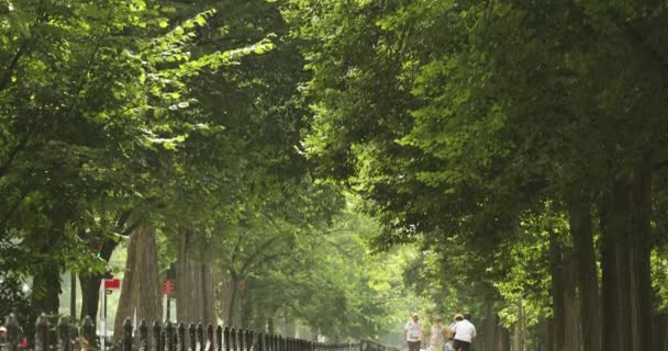 La gente camina en un sendero de parque público en Washington DC EE.UU. — Vídeos de Stock