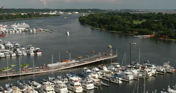 Σκάφη στον Ποτόμακ ποταμό στην Ουάσιγκτον ΗΠΑ — Αρχείο Βίντεο