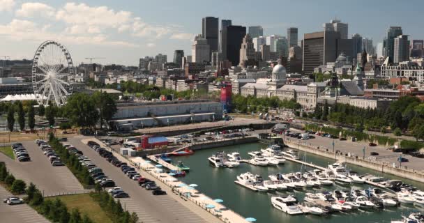 Montréal Québec Canada vue sur la ville — Video