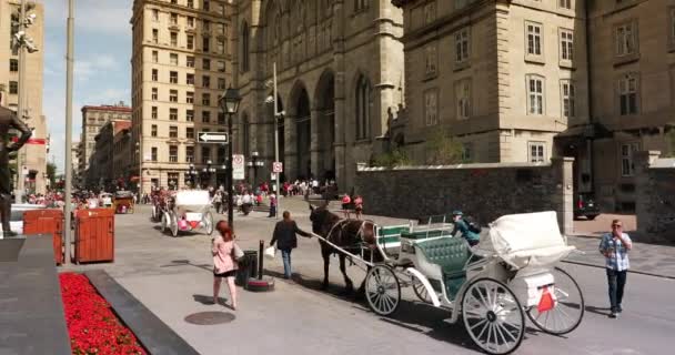 Notre Dame Basilica, Montreal, Quebec, Kanada — Stockvideo