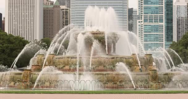 Chicago Illinois városképe és a Buckingham szökőkút — Stock videók