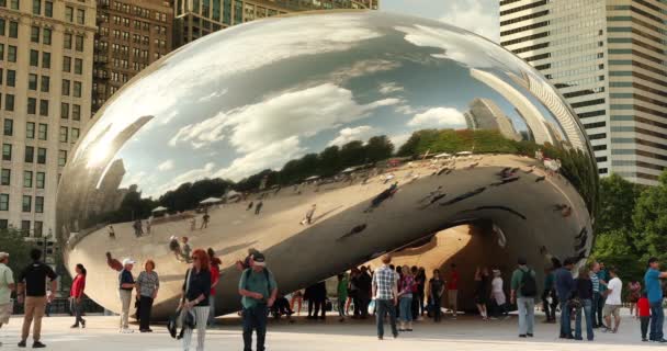 Latem ludzie gromadzą się wokół Cloud Gate Bean i Chicago Skyline. — Wideo stockowe