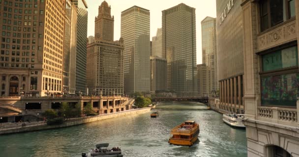 Chicago cityscape e barcos de balsa no rio — Vídeo de Stock
