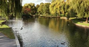 Boston Halk Bahçesi, Massachusetts, ABD