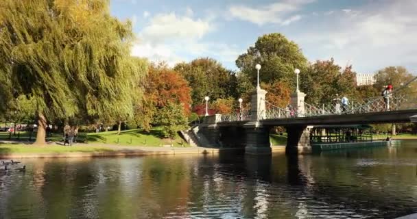美国马萨诸塞州波士顿的波士顿公共花园 — 图库视频影像