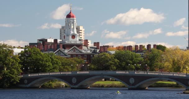 बोस्टन संयुक्त राज्य अमेरिका में हार्वर्ड विश्वविद्यालय — स्टॉक वीडियो